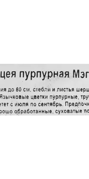 Эхинацея пурпурная микс ø17 h30 см