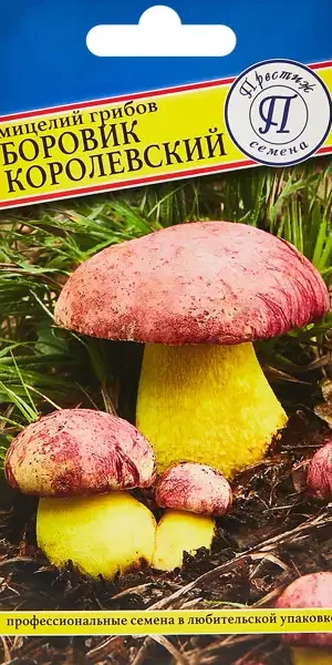 Мицелий грибов Престиж боровик Королевский
