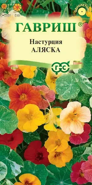 Семена цветов Гавриш настурция Аляска микс