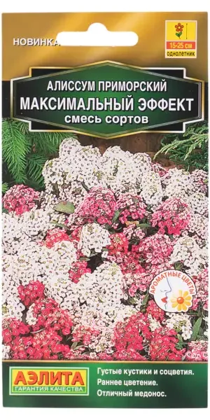 Семена цветов Аэлита алиссум Максимальный эффект