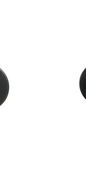 Набор крючков Swensa Dots SWR-7268-01, металл, цвет черный, 2 шт.