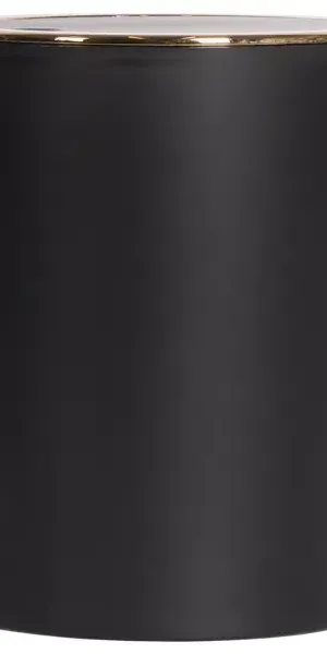 Контейнер для мусора Swensa Lensk Soft SWB-9024BLK 5 л пластик цвет черный матовый