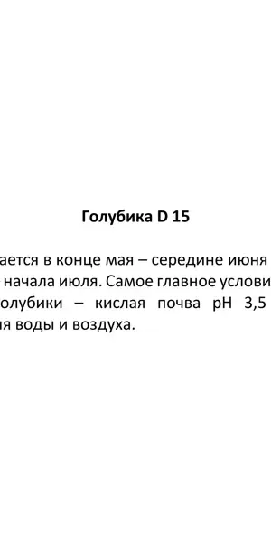 Голубика Блюкроп ø15 h35 см