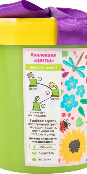 Незабудка голубая в горшке