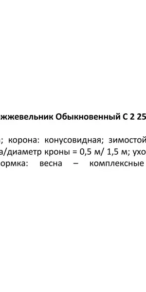 Можжевельник обыкновенный Репанда ø15 h40 см