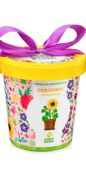 Горшок «Подсолнух миниатюрный»
