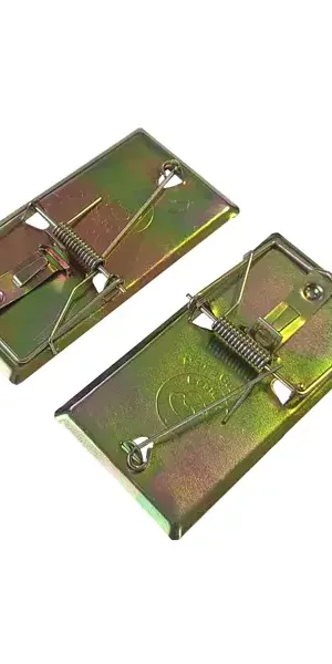 Мышеловка Rat Mouse металлическая 2 шт.