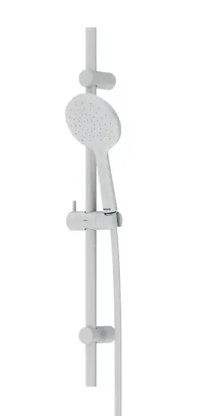 Душевой гарнитур Damixa Willow 921310200LM 1 режим цвет белый