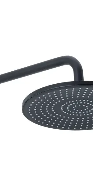 Душевая система Frap Arne F71204-6 скрытого монтажа цвет черный матовый