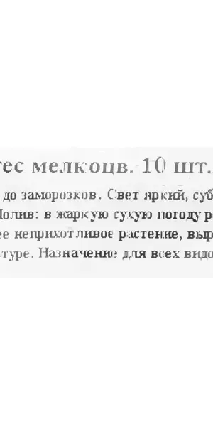Тагетес мелкоцветковый, 10 шт.
