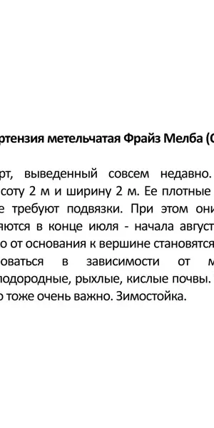Гортензия метельчатая «Фрайз Мельба», контейнер 3 л