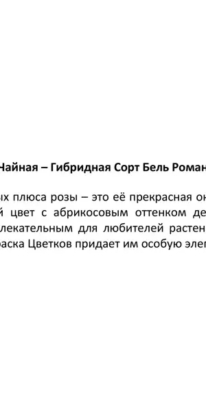 Роза флорибунда микс ø15 h40 см