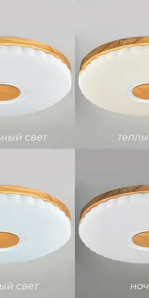 Светильник настенно-потолочный светодиодный Виола 90 Вт с пультом управления 34 м² регулируемый свет цвет белый