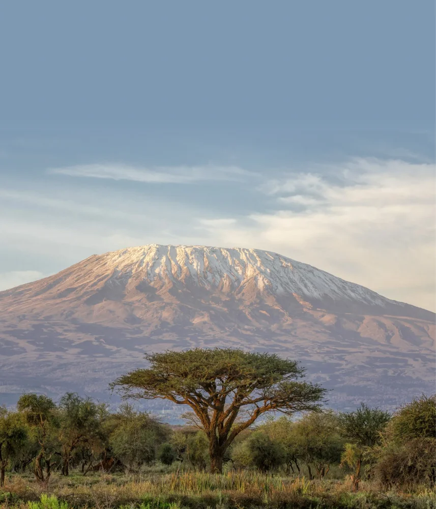 Килиманджаро