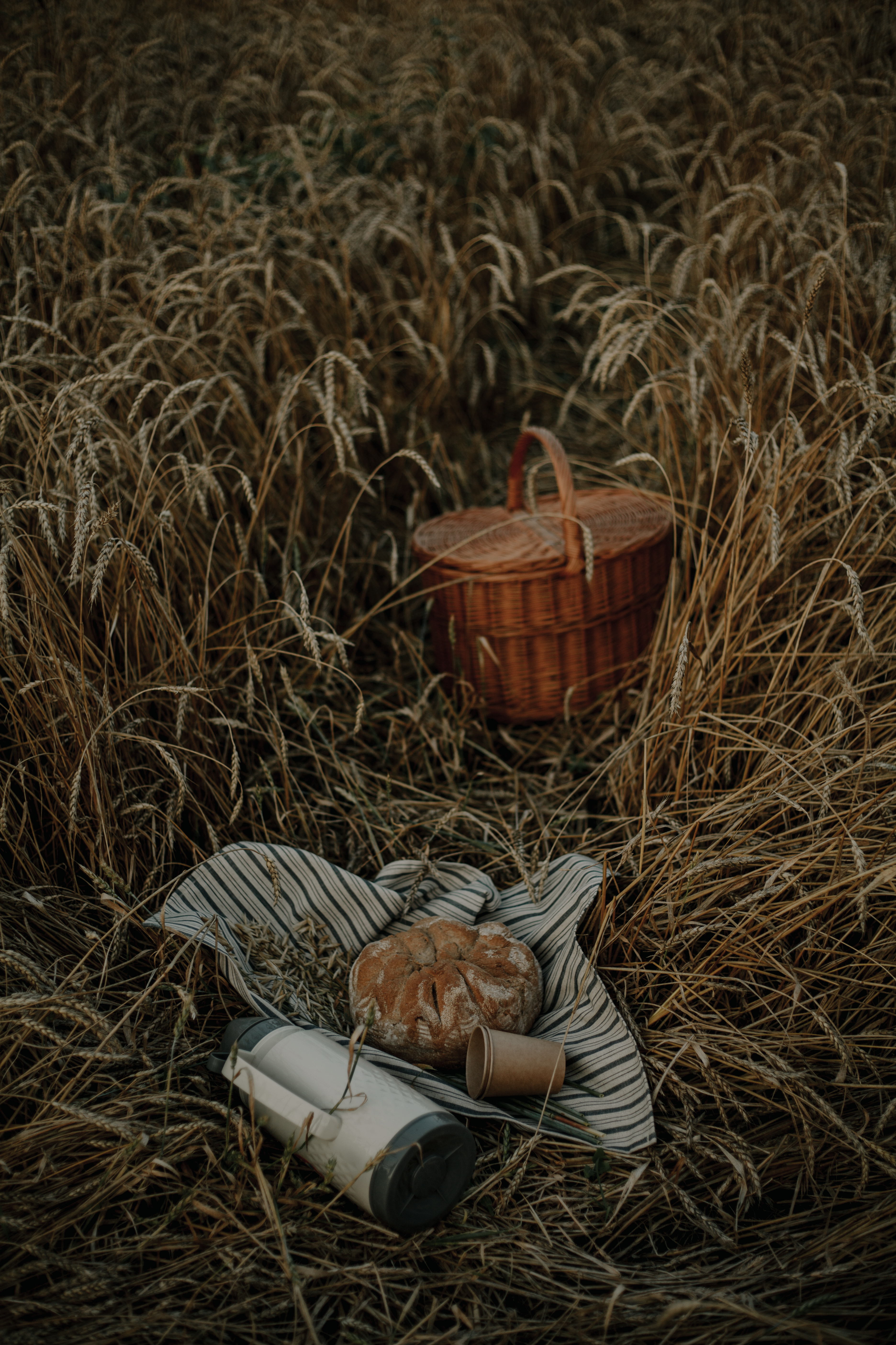 Фотографии экскурсии