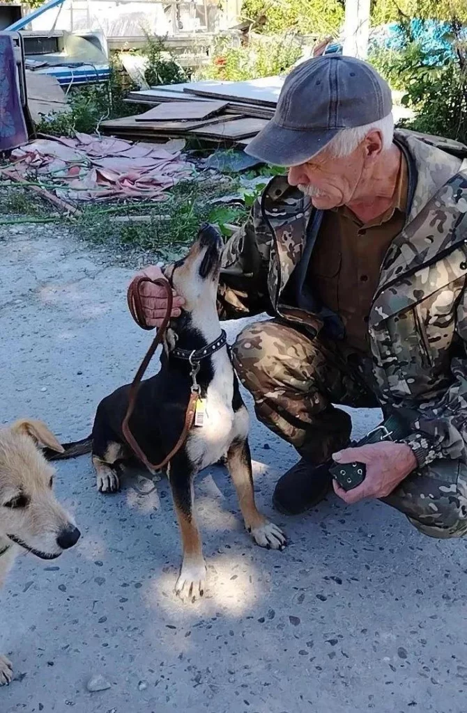 Пес Лёлик рядом с мужчиной во дворе