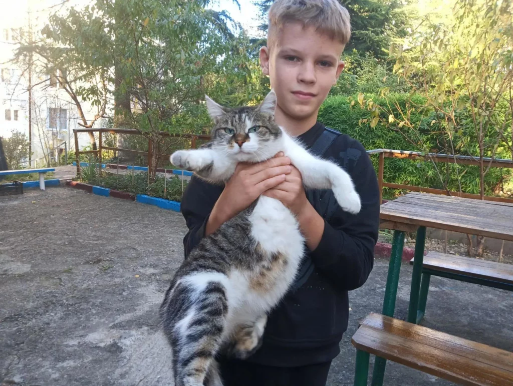 Житель держит дворовую кошку во дворе дома в Туапсе