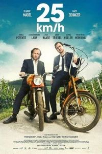 25 км/ч