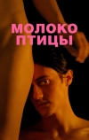 Молоко птицы