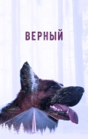 Верный