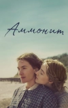 Аммонит
