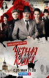 Черная кошка