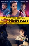 Некрасивая подружка. Чёрный кот