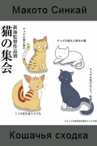 Кошачья сходка