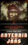 Антенны среди льдов