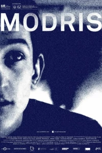 Модрис (2014)