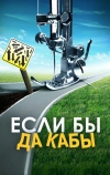 Если бы да кабы