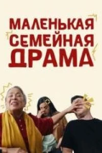 Маленькая семейная драма (2024)
