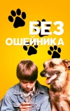 Без ошейника (1995)