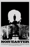 Норд-истер