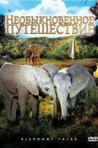 Необыкновенное путешествие: История про двух слонят
