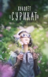 Лунолет «Сурикат»