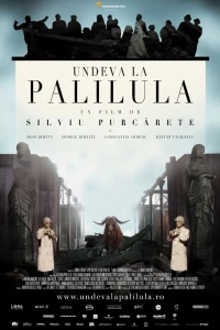 Где-то в Палилула (2012)