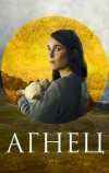 Агнец