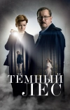 Тёмный лес