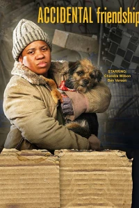 Случайная дружба (2008) Случайная дружба (2008)