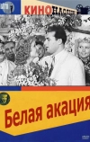 Белая акация