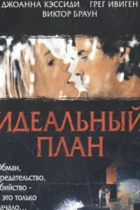 Идеальный план