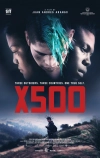 Икс 500