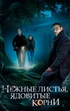 Нежные листья, ядовитые корни