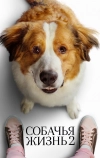 Собачья жизнь 2