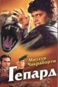 Гепард