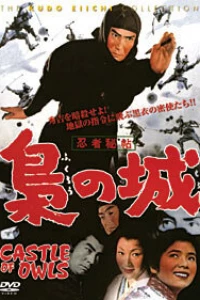 Замок сов (1963)