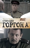 Операция «Горгона» (2011)