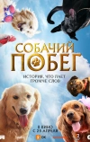 Собачий побег