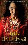 Даббе: Проклятие джинна (2013)